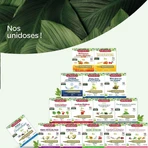 Superdiet Drainaflore Unidose Bio 300 мл: цены и характеристики