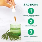 Santarome Complexe Detox Minceur Bio Gémmothérapie 30 мл: цены и характеристики