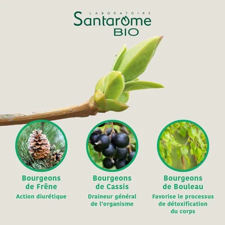 Santarome Complexe Detox Minceur Bio Gémmothérapie 30 мл: цены и характеристики