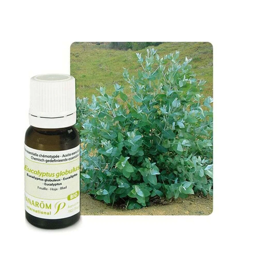 Pranarôm Essential Oils Органическое эфирное масло эвкалипта (Eucaliptus Globulus) 10 мл: цены и характеристики