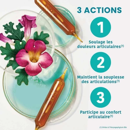 Santarome Harpagophytum 2000 20 Ampoules Bio Douleurs articulaires 20 ampoules: цены и характеристики