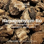 Santarome Harpagophytum 2000 20 Ampoules Bio Douleurs articulaires 20 ampoules: цены и характеристики