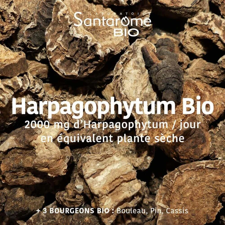 Santarome Harpagophytum 2000 20 Ampoules Bio Douleurs articulaires 20 ampoules: цены и характеристики