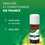 Эфирное масло Phytosun Aroms Tea Trea Bio 10 мл: цены и характеристики