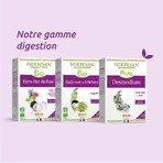 Herbesan Desmodium Bien-Être Du Foie 20 ампул: цены и характеристики