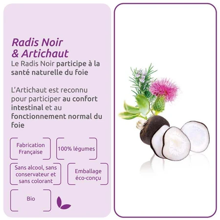 Herbesan Radis Noir Et Artichaut Bio Digestion 20 ампул: цены и характеристики