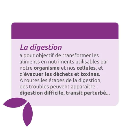 Herbesan Radis Noir Et Artichaut Bio Digestion 20 ампул: цены и характеристики