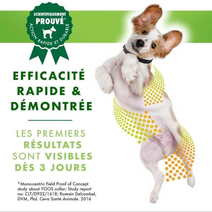 Ceva Yoos Ожерелье для маленьких собак <10 кг Здоровье суставов x1: цены и характеристики