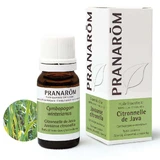 Pranarôm Essential Oils Эфирное масло лемонграсс Ява 10 мл