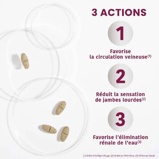 Santarome Fluidiveine Jambes Légères 60 comprimés