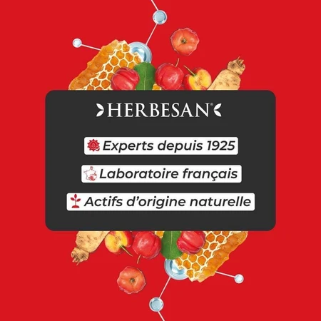 Herbesan Panax Ginseng Meyer Tonus Et Energia 20 флаконів Booster D'Énergie 300 мл: ціни та характеристики