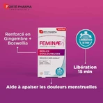 Forté Pharma Feminae Règles Douloureuses 30 comprimés: цены и характеристики