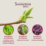Santarome Complexe Prostate Bio Gémmothérapie 30 мл: цены и характеристики