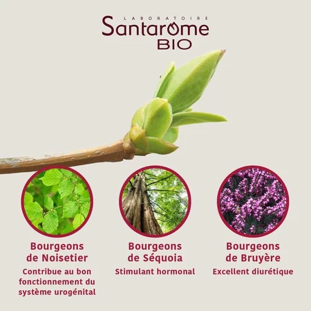 Santarome Complexe Prostate Bio Gémmothérapie 30 мл: цены и характеристики