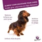 Ceva Pet Phos Coat Dog 50 таблеток для собак