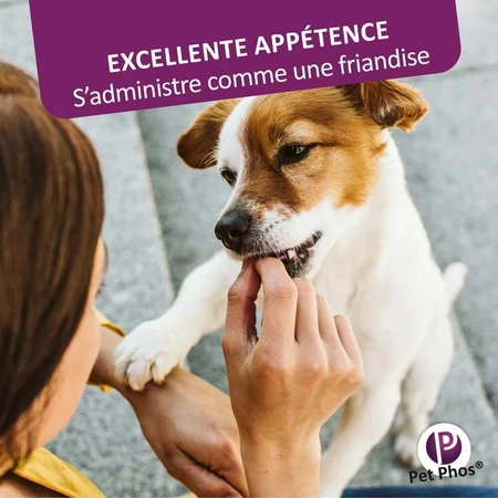 Ceva Pet Phos Coat Dog 50 таблеток для собак: ціни та характеристики