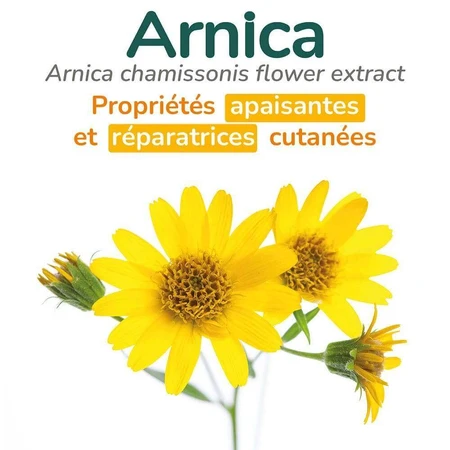 Arnican Gel Chocs Coups Жолоби для переворотів + кишеня для рулону: ціни та характеристики