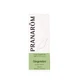 Pranarôm Essential Oils Эфирное масло имбиря 5 мл