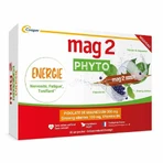 Mag 2 Phyto Energie тонизирующее средство при нервозности и усталости, 30 ампул: цены и характеристики