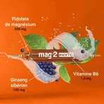Mag 2 Phyto Energie тонизирующее средство при нервозности и усталости, 30 ампул: цены и характеристики