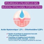 Гіалугель Форте Періо Гель буккальний асаїнісант Acid Hyaluronique 1,2% 8мл: ціни та характеристики