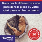 Feliway Friends феромоны для диффузора "Кошка с друзьями" 48 мл: цены и характеристики