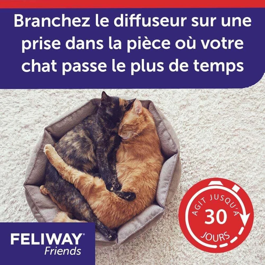Feliway Friends феромоны для диффузора "Кошка с друзьями" 48 мл: цены и характеристики