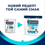 Advance (Эдванс) Dog Adult Mini Chicken&Rice - Сухой корм с мясом курицы для взрослых собак малых пород, 700 г: цены и характеристики
