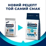 Advance (Едванс) Dog Adult Mini Chicken&Rice - Сухий корм з м'ясом курки для дорослих собак малих порід, 7 кг: ціни та характеристики
