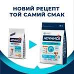 Advance (Едванс) Dog Mini Puppy Chicken&Rice - Сухий корм з м'ясом курки і рисом для цуценят малих порід, 3 кг: ціни та характеристики