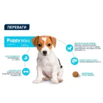 Advance (Едванс) Dog Mini Puppy Chicken&Rice - Сухий корм з м'ясом курки і рисом для цуценят малих порід, 3 кг: ціни та характеристики