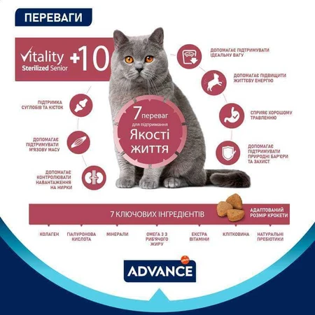 Advance Cat Vitality Senior Sterilized - Сухий корм з куркою для стерилізованих кішок і кастрованих котів старше 10 років, 1.5 кг: ціни та характеристики