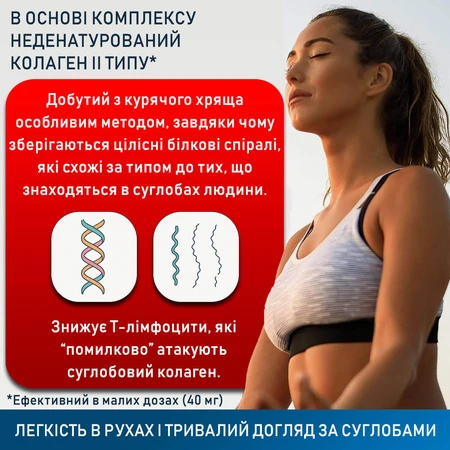 Коллаген неденатурированный II типа для суставов 440 мг, капсулы, №60: цены и характеристики