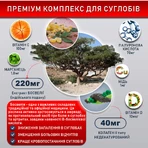 Коллаген неденатурированный II типа для суставов 440 мг, капсулы, №60: цены и характеристики