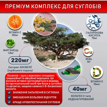 Коллаген неденатурированный II типа для суставов 440 мг, капсулы, №60: цены и характеристики