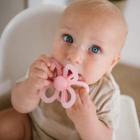 BabyOno, силиконовый прорезыватель, цветок, розовый, с рождения, 1 шт.: цены и характеристики