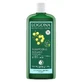 Logona Заспокійливий шампунь Souci Officinal Bio 250мл