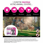 Frontline Tri-act Spot-on для собак 20-40 кг 3 пипетки по 4 мл: цены и характеристики