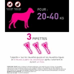 Frontline Tri-act Spot-on для собак 20-40 кг 3 пипетки по 4 мл: цены и характеристики
