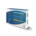 Effi Science Cartilamine 1500 30 таблеток: цены и характеристики