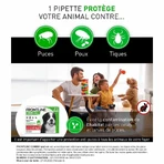 Frontline Combo Spot-on Dog XL Plus 40 кг 3 пипетки по 4,02 мл: цены и характеристики