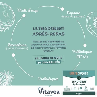 Vitavea Santé Ефрідіжест після їжі 24 шипучі таблетки