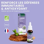 Santarome Organic Blackcurrant Bud Gémmothérapie 30 мл: цены и характеристики