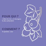 Santarome Organic Blackcurrant Bud Gémmothérapie 30 мл: цены и характеристики