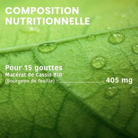 Santarome Organic Blackcurrant Bud Gémmothérapie 30 мл: цены и характеристики