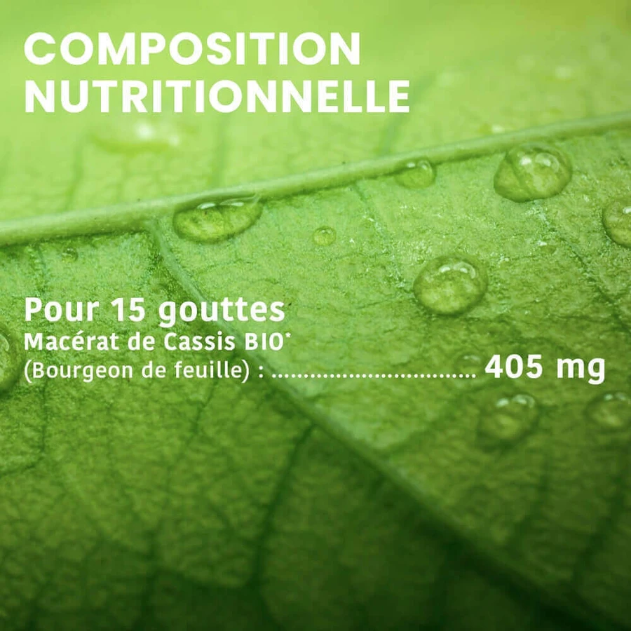 Santarome Organic Blackcurrant Bud Gémmothérapie 30 мл: цены и характеристики