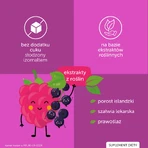 Льодяники для горла JustVit, без цукру, від 3 років, зі смаком малини та смородини, 40 шт.: ціни та характеристики