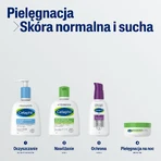 Cetaphil MD Dermoprotector, зволожуючий лосьйон для обличчя та тіла, для сухої та чутливої шкіри, 250 мл + Зволожуючий крем для обличчя з гіалуроновою кислотою, нічний крем, 48 мл безкоштовно: ціни та характеристики