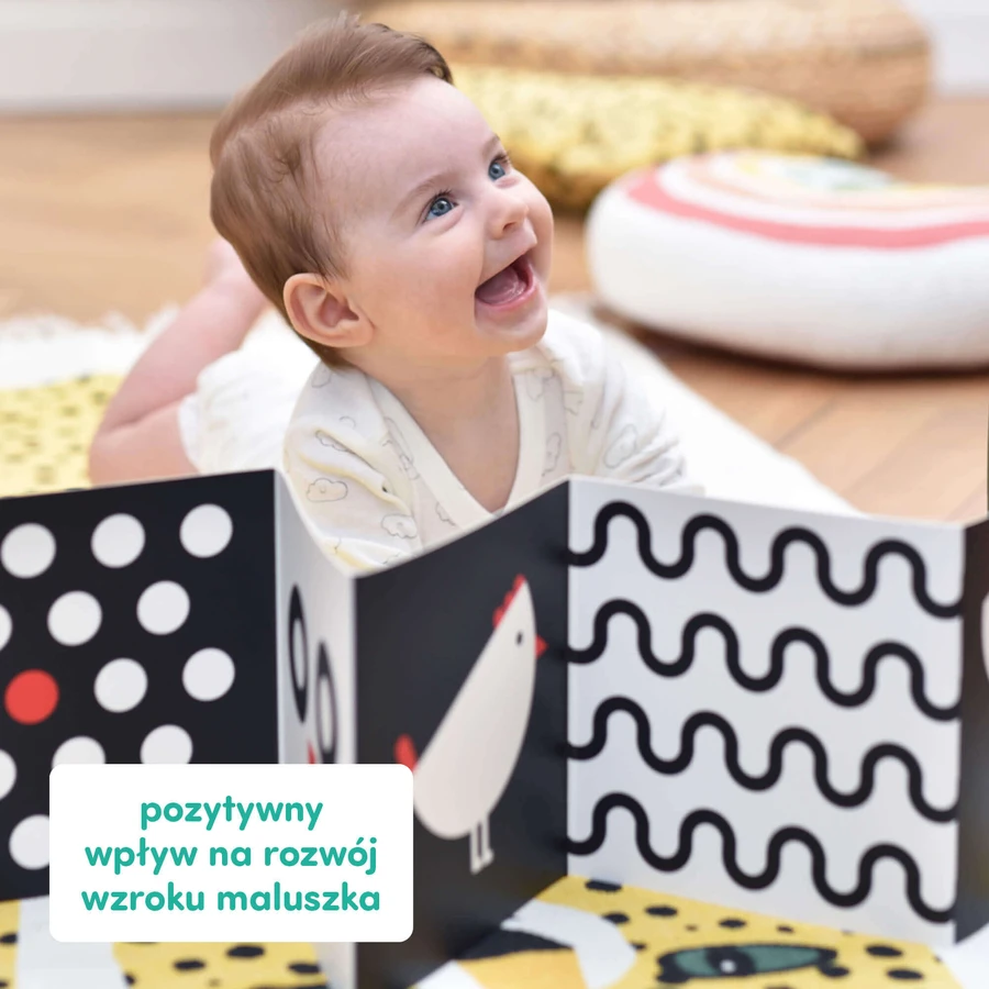 CzuCzu Toddler Starter What I See, 2 контрастні книжки для дітей, 0-6 місяців: ціни та характеристики