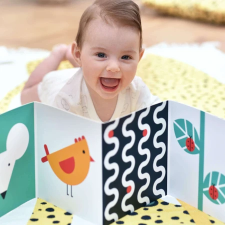 CzuCzu Toddler Starter What I See, 2 контрастні книжки для дітей, 0-6 місяців: ціни та характеристики